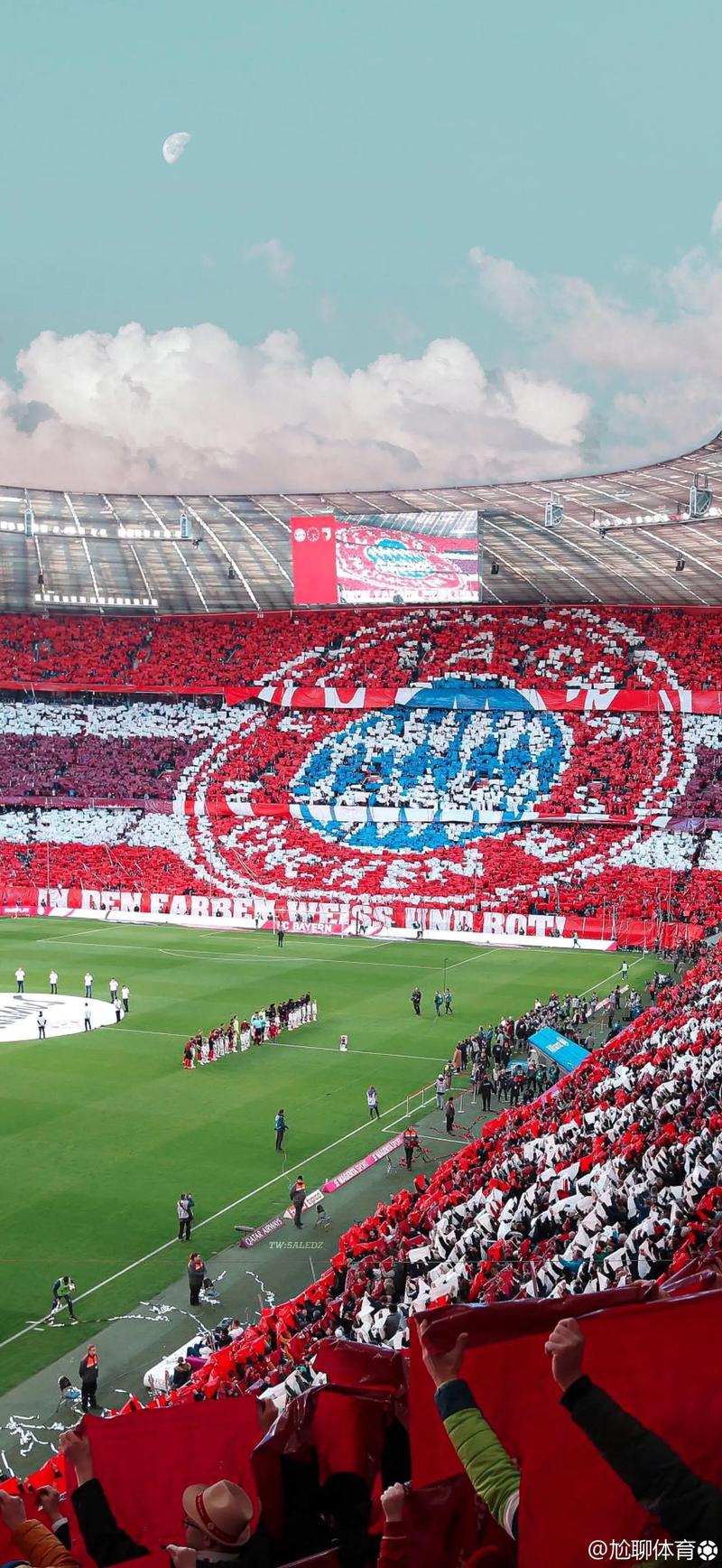 案例分析 案例分析