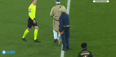 退盘后以新 退盘后以新